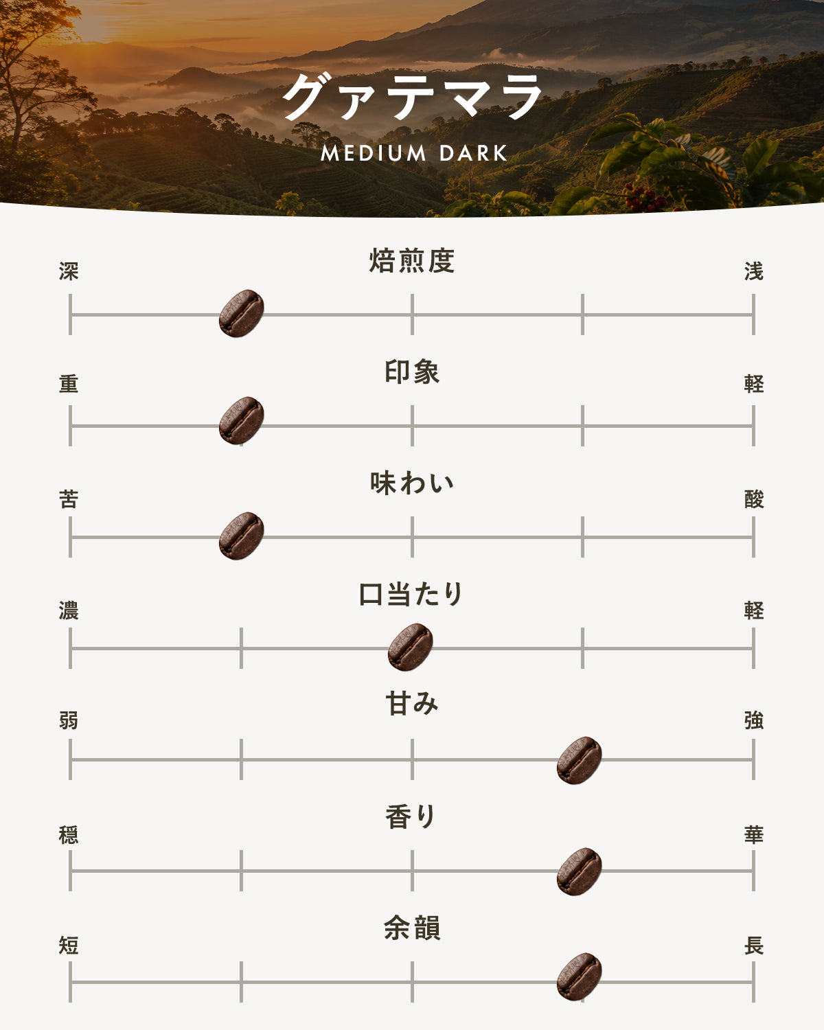 【中深煎り】グァテマラ|広島の自家焙煎コーヒー豆 100g