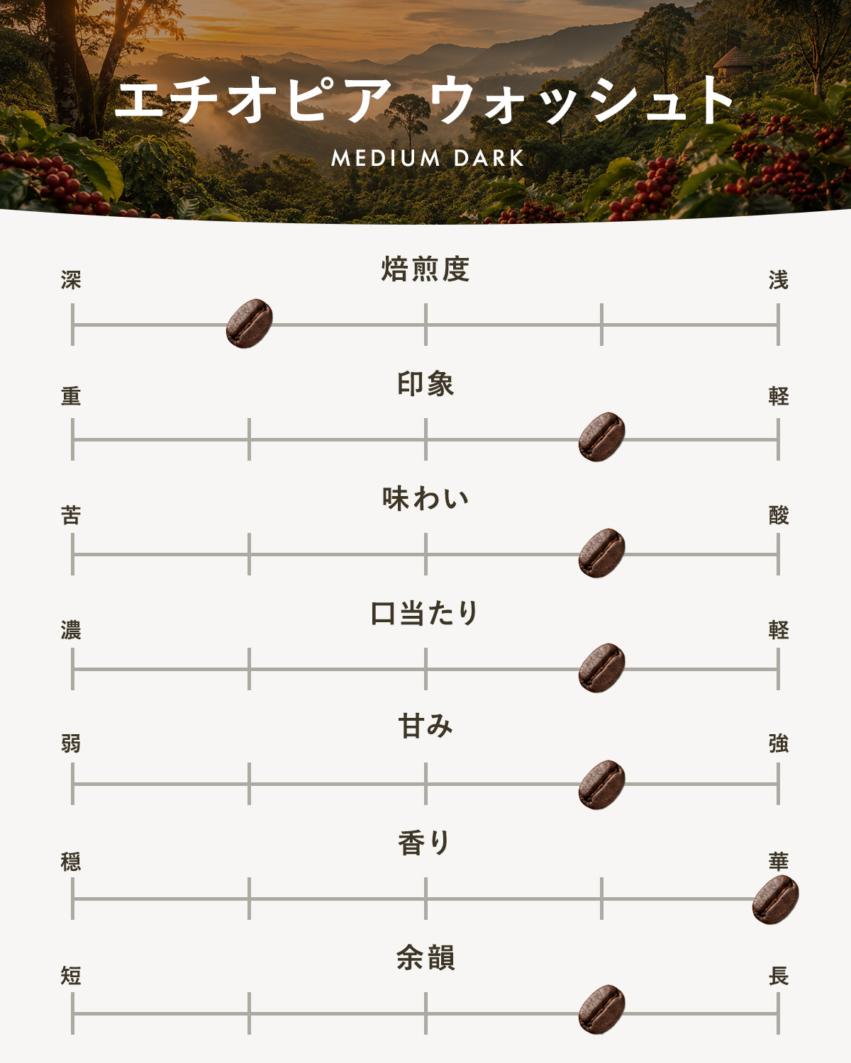 【中深煎り】エチオピア ウォッシュト|広島の自家焙煎コーヒー豆 100g