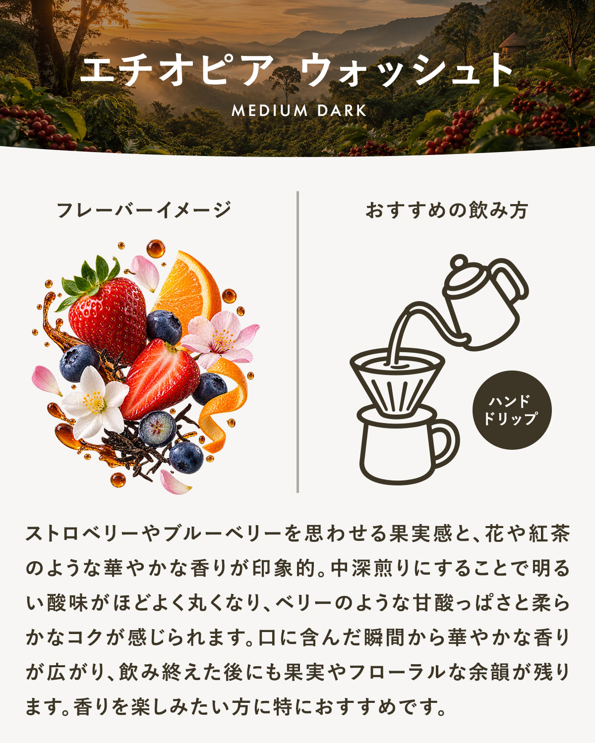 【中深煎り】エチオピア ウォッシュト|広島の自家焙煎コーヒー豆 100g