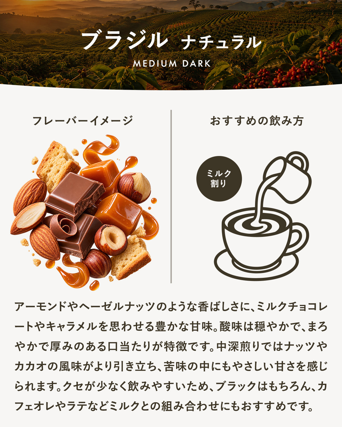 【中深煎り】ブラジル ナチュラル|広島の自家焙煎コーヒー豆 100g