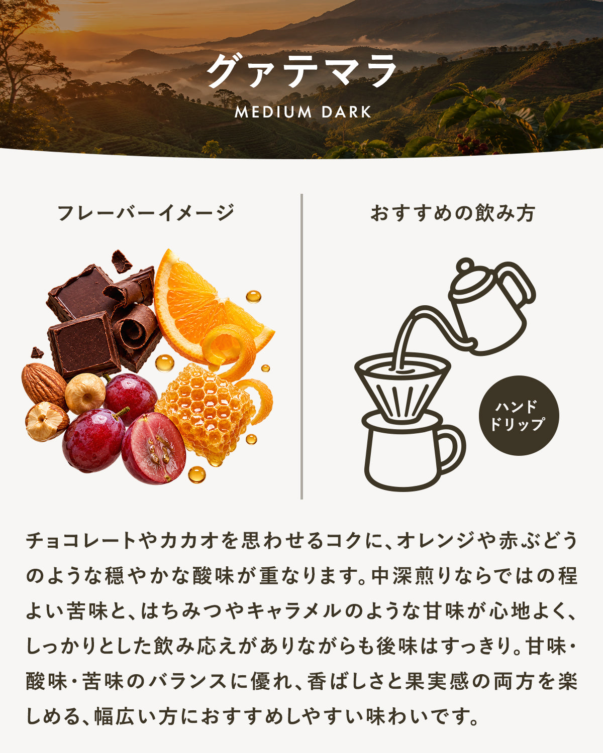 【中深煎り】グァテマラ｜広島の自家焙煎コーヒー豆 100g