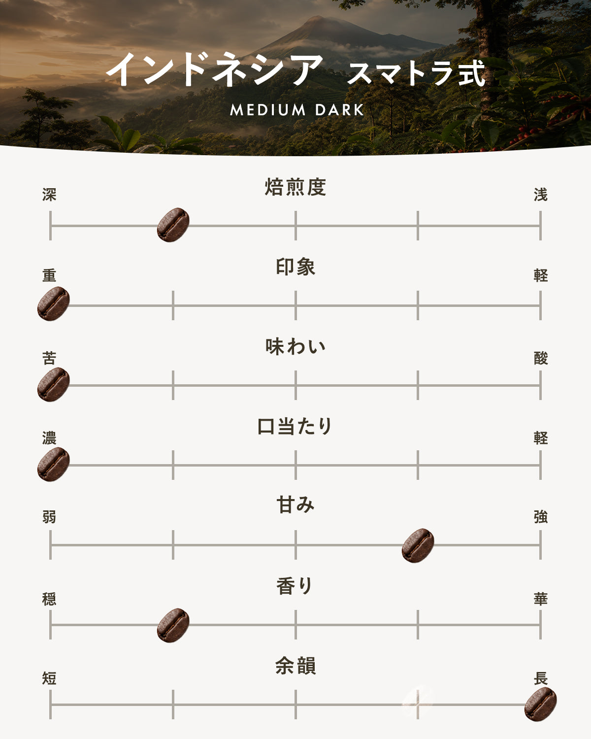【中深煎り】インドネシア スマトラ式｜広島の自家焙煎コーヒー豆  100g