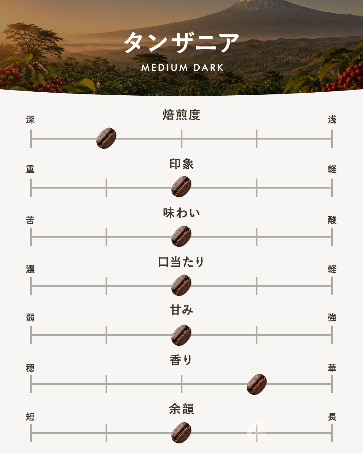 【中深煎り】タンザニア｜広島の自家焙煎コーヒー豆 100g