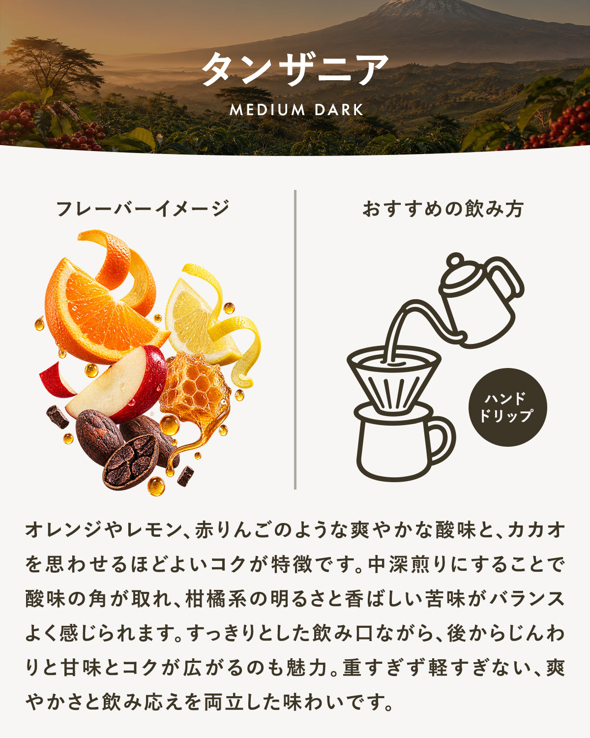 【中深煎り】タンザニア｜広島の自家焙煎コーヒー豆 100g