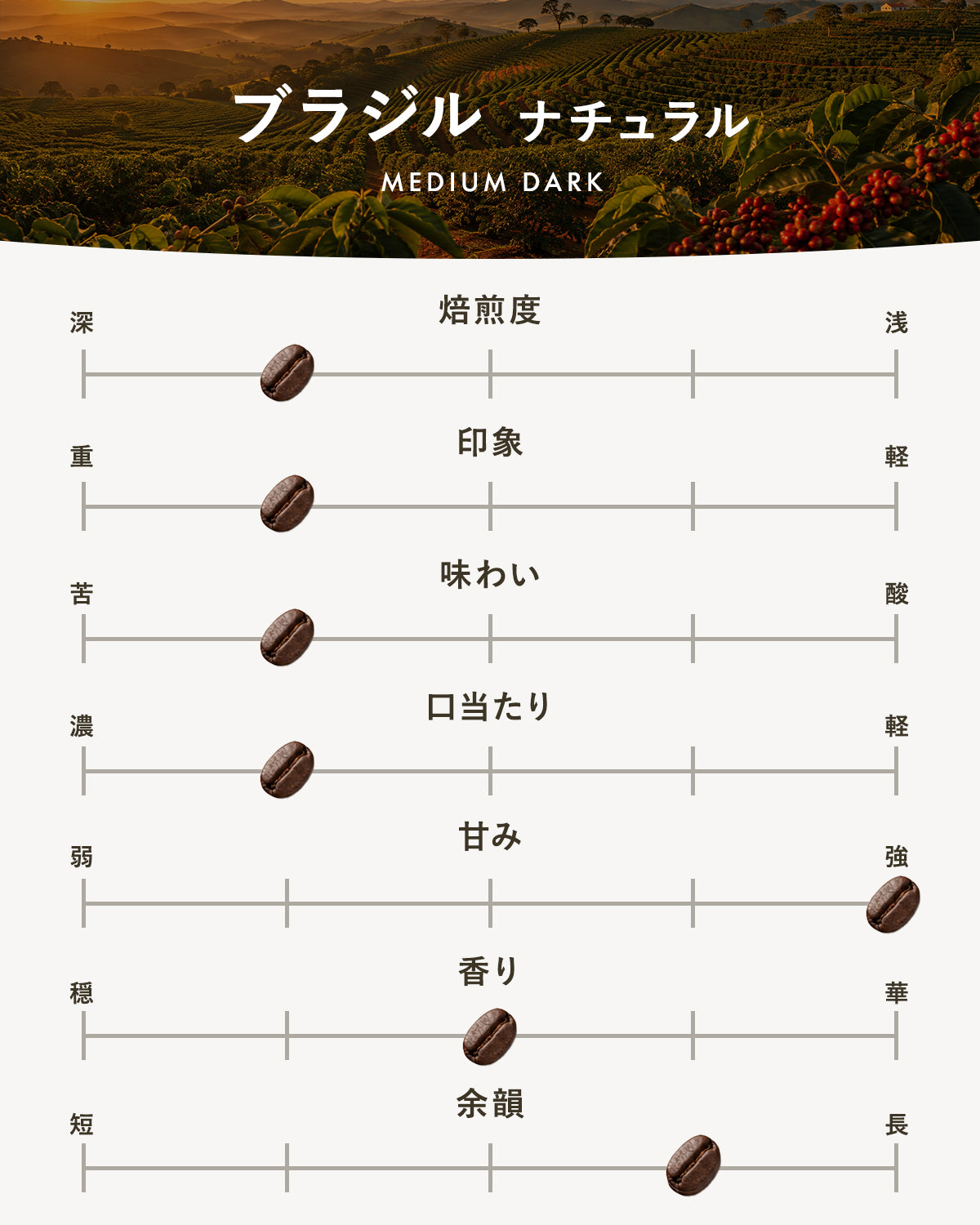 【中深煎り】ブラジル ナチュラル｜広島の自家焙煎コーヒー豆 100g