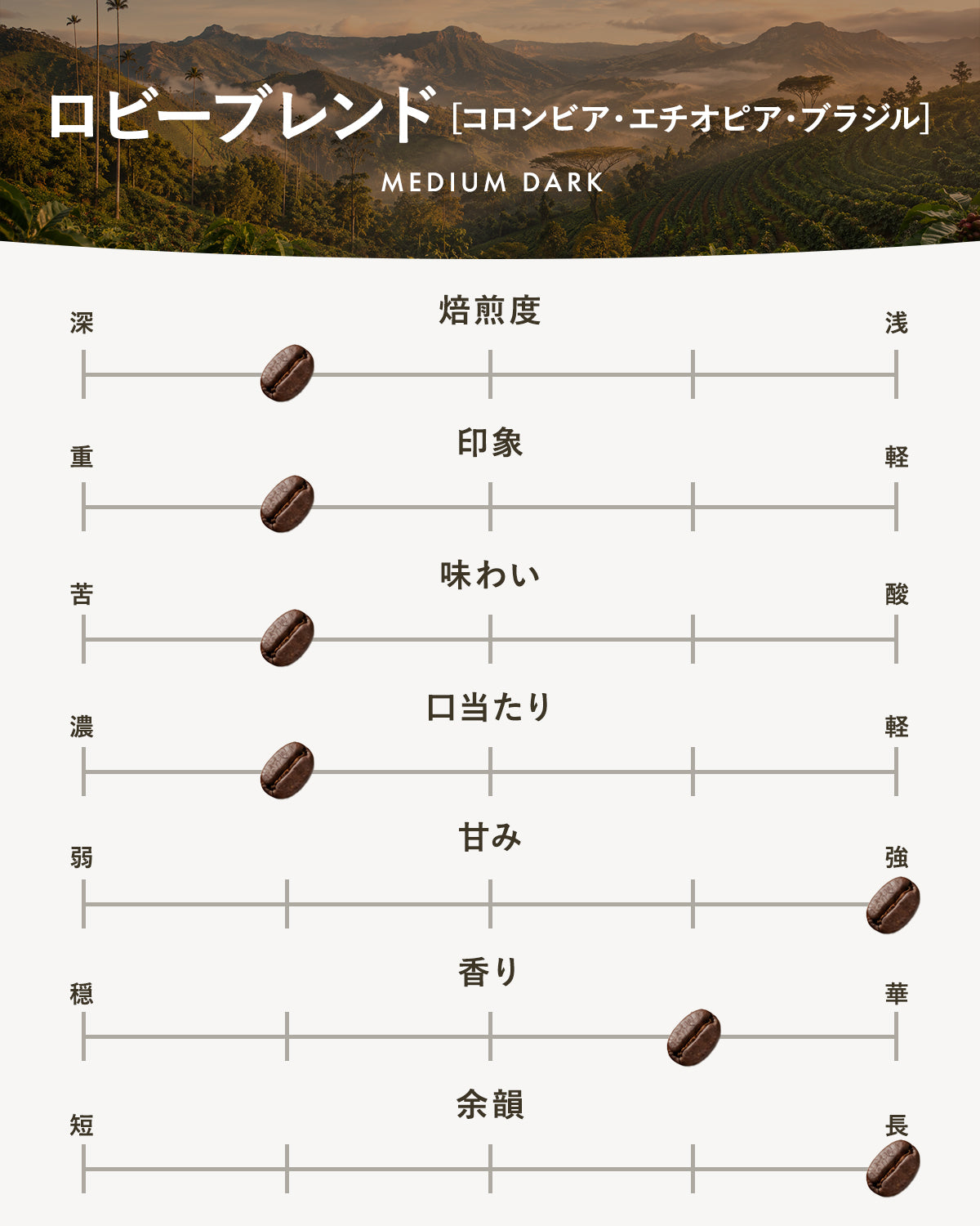 【中深煎り】ロビーブレンド｜広島の自家焙煎コーヒー豆（コロンビア・エチオピア・ブラジル） 100g