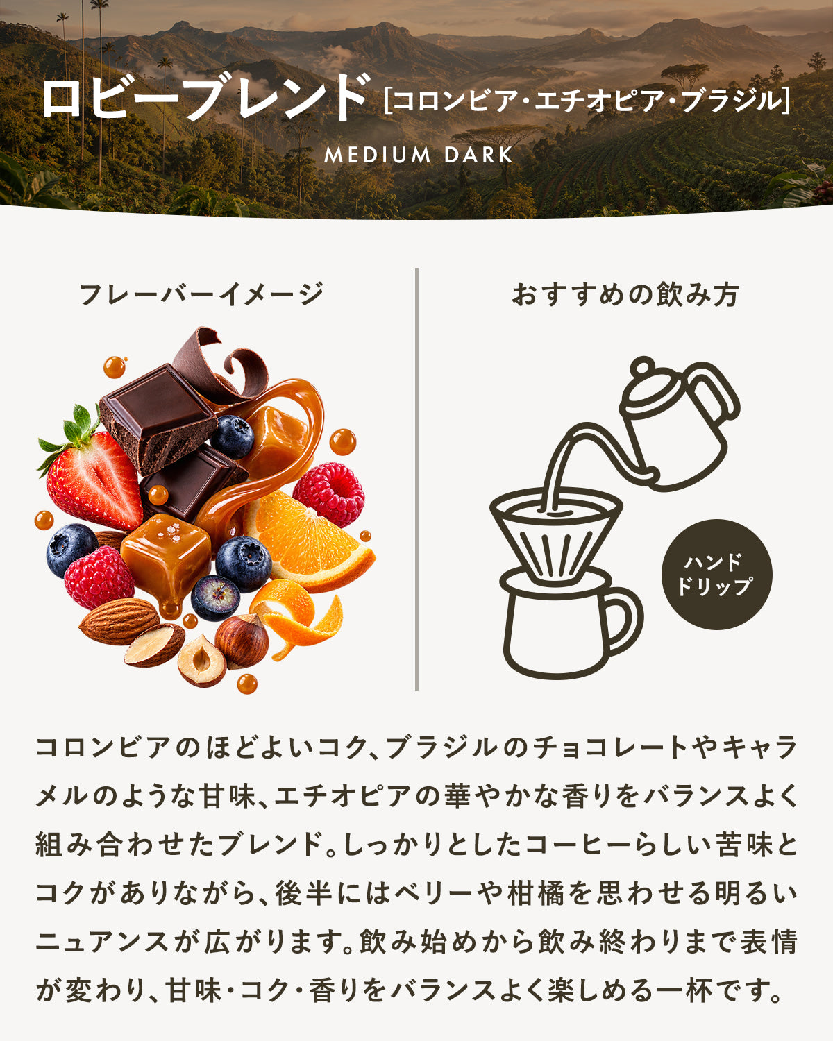 【中深煎り】ロビーブレンド｜広島の自家焙煎コーヒー豆（コロンビア・エチオピア・ブラジル） 100g